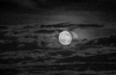 227-moon2.jpg