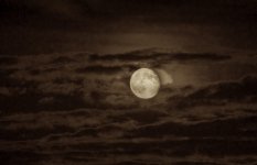 227-moon2 sepia.jpg