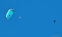 DSC_5032-1-1.jpg