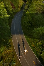 runners.jpg