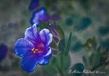 _DSC0101-Edit-2-Edit-Edit.jpg