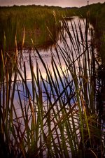 waterway-Edit-Edit.jpg