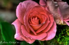 _DSC0221_2_3_4_5_6_tonemapped-Edit.jpg