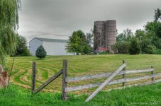 DSC_6741.jpg
