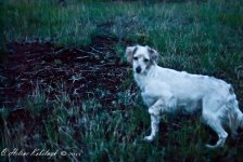 _SSC0299-Edit.jpg