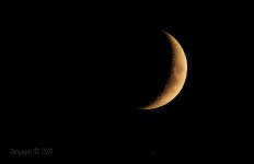 244-moon.jpg