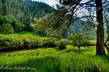 _DSC0393_4_5_6_7_tonemapped.jpg