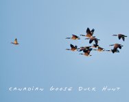 DSC_6928-1-1.jpg
