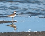 DSC_6953.jpg