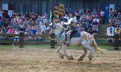246-Jousting.jpg