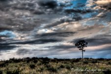 _DSC0414_15_16_17_18_20_tonemapped-Edit-2.jpg