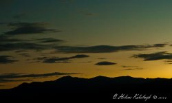 _DSC0512-Edit-Edit.jpg