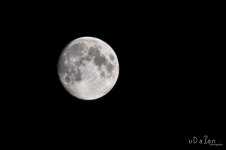 DSC_0452.jpg