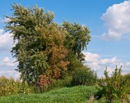 DSC_7186-1-1.jpg
