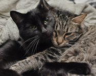 DSC_7315-1-1.jpg