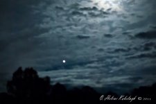 _SSC0376-Edit.jpg
