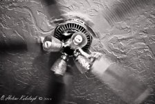 _SSC0390-Edit-Edit.jpg