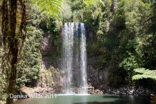 DSC_0130.jpg