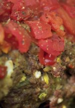 meatloaf sm.jpg