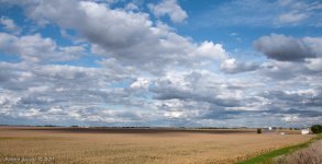 DSC_7423-1-1.jpg