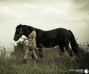 20110922-DeBrito-Horses-16-Edit.jpg