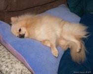 DSC_7539-1-1.jpg
