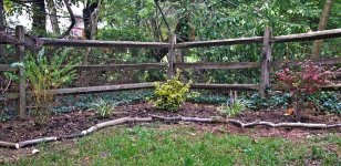 269-Shrubs.jpg