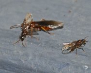 DSC_7600.jpg