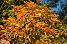 DSC_7607-1-1.jpg