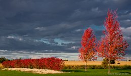 DSC_7626_7_8_tonemapped-1-1.jpg