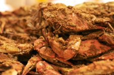 273-Crabs.jpg
