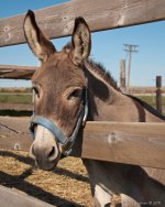 DSC_7777-1-1.jpg