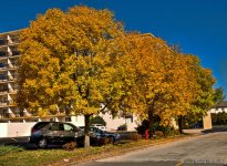 DSC_7887_8_9_tonemapped-1-1.jpg