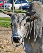 DSC_7784-1-1.jpg