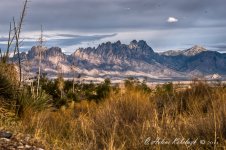 _DSC0003_4_5_6_7_tonemapped-Edit.jpg