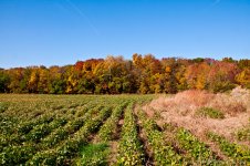 DSC_8081-1-1.jpg