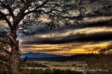_DSC0089_90_91_92_93_94_tonemapped.jpg