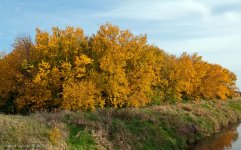 DSC_8325-1-1.jpg