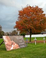 DSC_8365-1-1.jpg