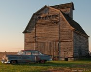 DSC_8383-1-1.jpg