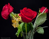 DSC_8560-1-2-1.jpg