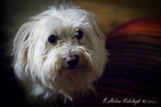 _DSC0149-Edit.jpg
