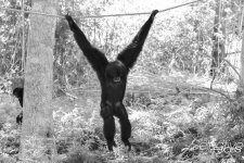Zoo29.jpg