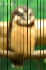 Focus1.jpg