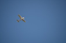 DSC 0051.jpg