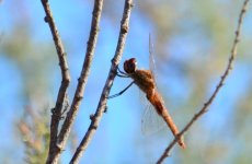 2nd Sept 2013 135_018.JPG