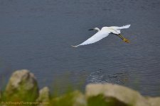 DSC_5238.jpg