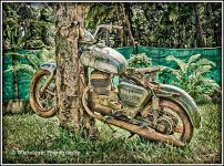 20130901-DSC_7407_HDR-2_WLP-2.jpg
