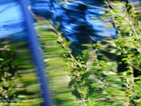 249 Reflections-130906_01.jpg
