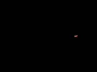 DSCN9959.jpg